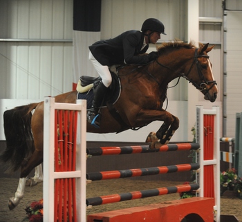 Stephen Mercer Wins SEIB Winter Novice Qualifier at Addington Manor Equestrian Centre
